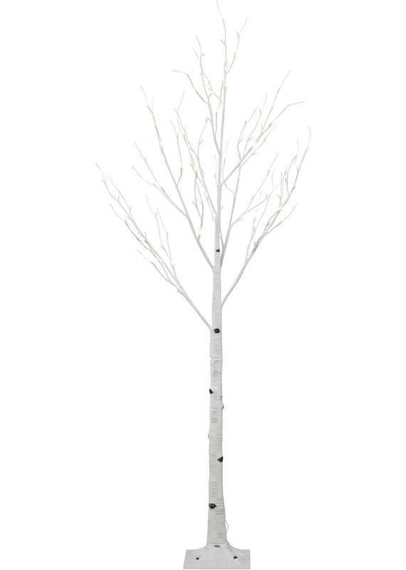 Holiday Lighting