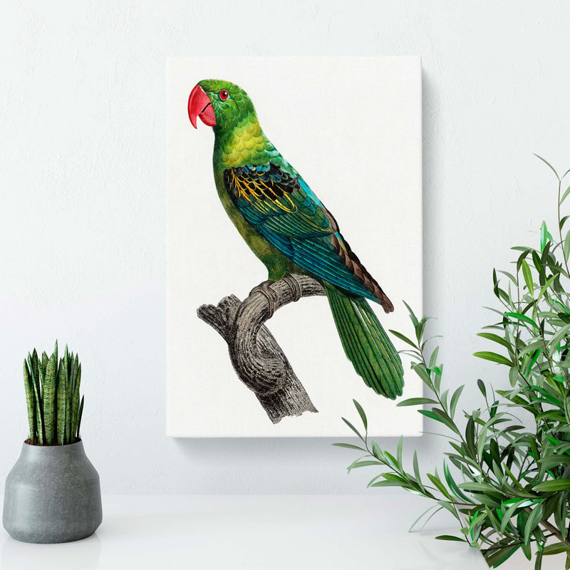 Great-Billed Parrot by F. Levaillant - Wrapped Canvas, 50cm H x 35cm W x 3cm D