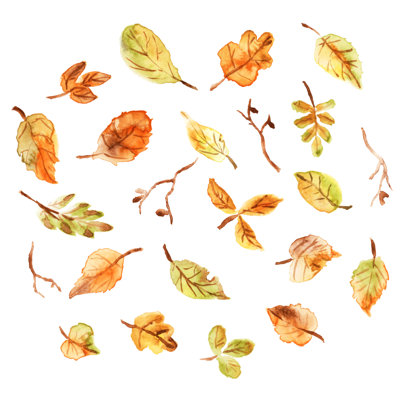Autumn Leaves - Wrapped Canvas Print