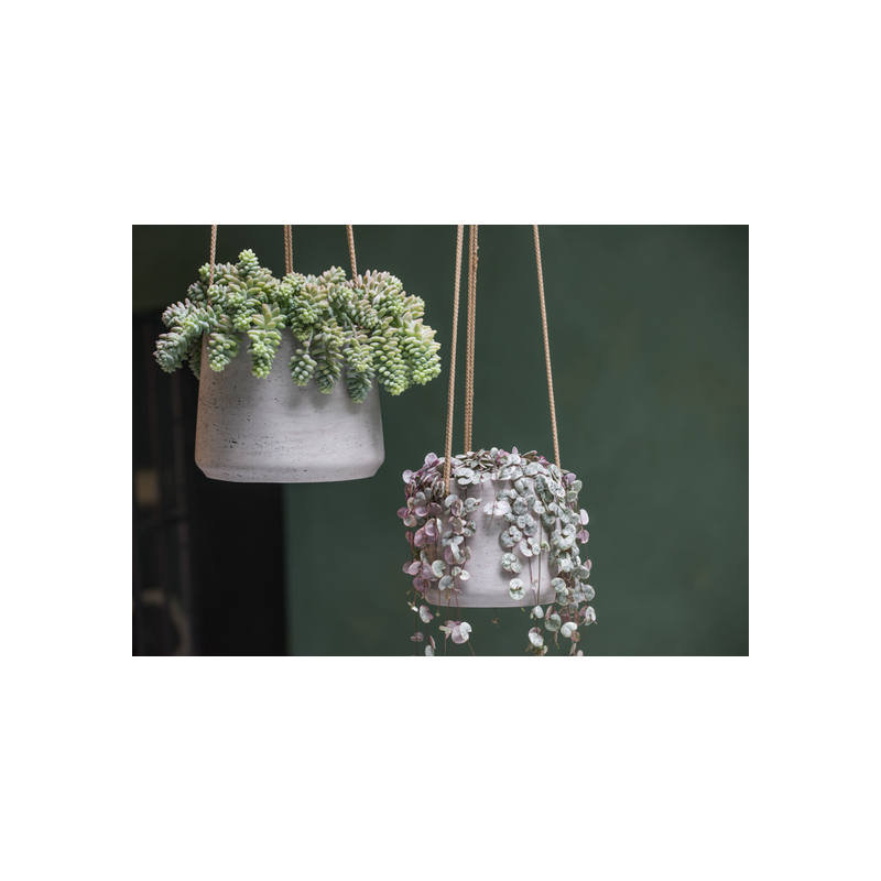 Gray Fiberstone Hanging Pot, 6" W x 6" D x 6" H, Gray