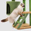 Arbre à chat H 35,6 po Faleshia