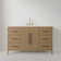 Alsup 54" Single Bath Vanity