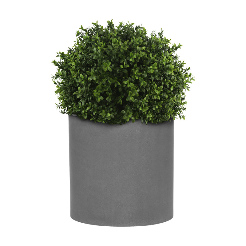 Seville Faux Boxwood Topiary in Fiberstone Planter