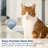 Multi-surface With Febreze Original Gain 64oz