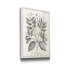 «Antique Black and White Botanical», reproduction d'art sur toile tendue-1877873528