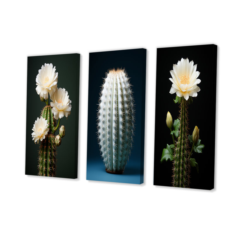 Cactus, isolement ivoire, Toile tendue, H 32 po x l 48 po