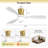 48'' Transitional Modern Led Dimmable Ceiling Fan With Lights And Remote Control 3cct Reversible Dc Motor Timer Memory-1258704947