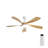 52 Inch Modern LED Ceiling Fan with Dimmable Light and Remote Control-111744147-111744149
