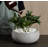 Finnur Handmade Pot Planter-1552980106-1552980117