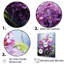 Lilacs Flow Grace III, reproduction d'art sur toile-1611273190-1611273191