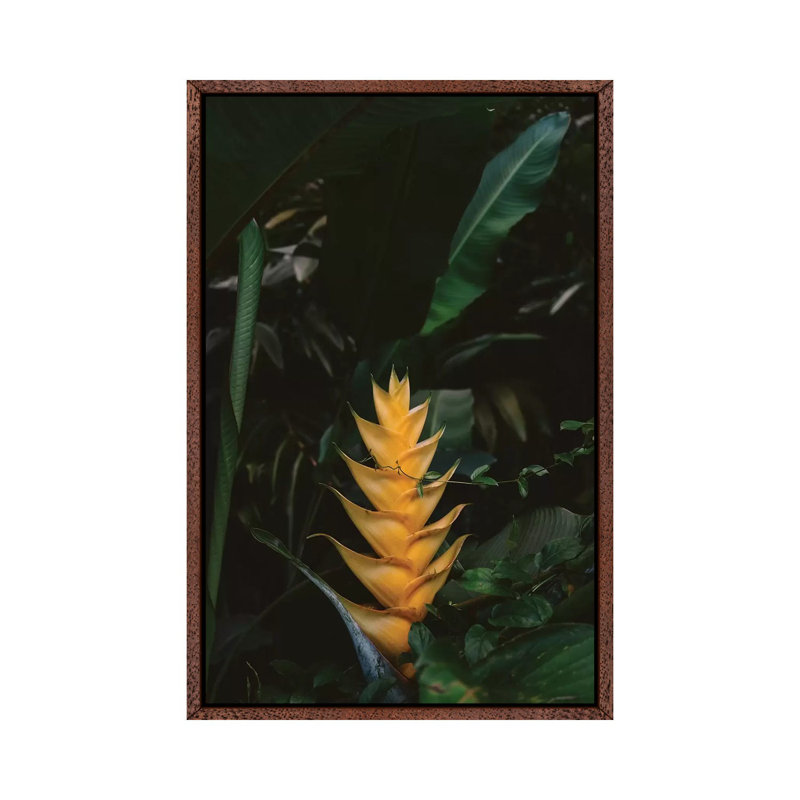 Tropical Hawaii VIII by Bethany Young - Print on Canvas, Classic Brown Wood Framed, 66.04cm H x 45.72cm W x 3.81cm D