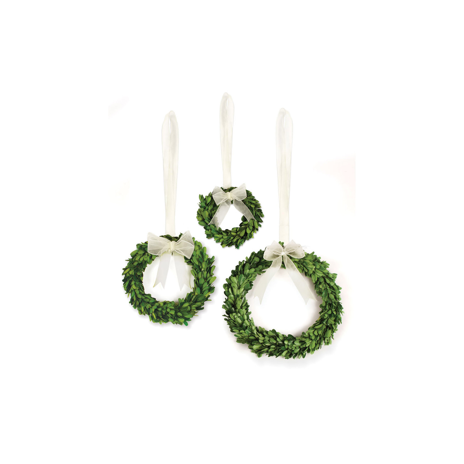 10'' Preserved Boxwood Wreath, White