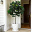 5.2Ft Faux Tree with Pot for Indoor Outdoor