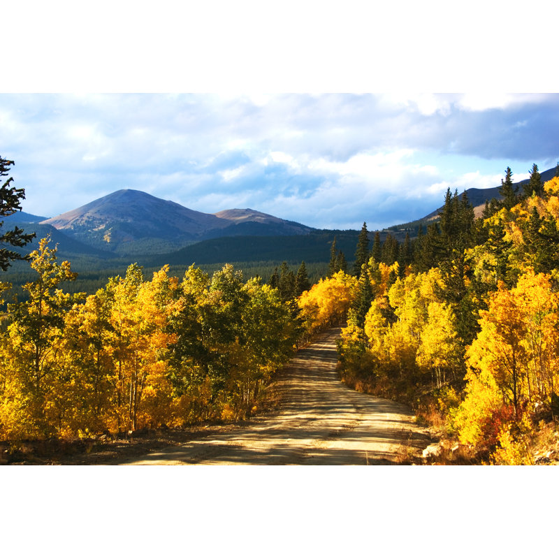 Boreas Pass With Aspenglow (Colorado) by Miws16 - Wrapped Canvas Print, 30cm H x 46cm W x 3.8cm D