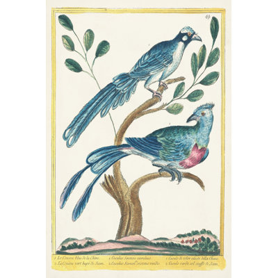 Pastel Birds VI - Art Prints