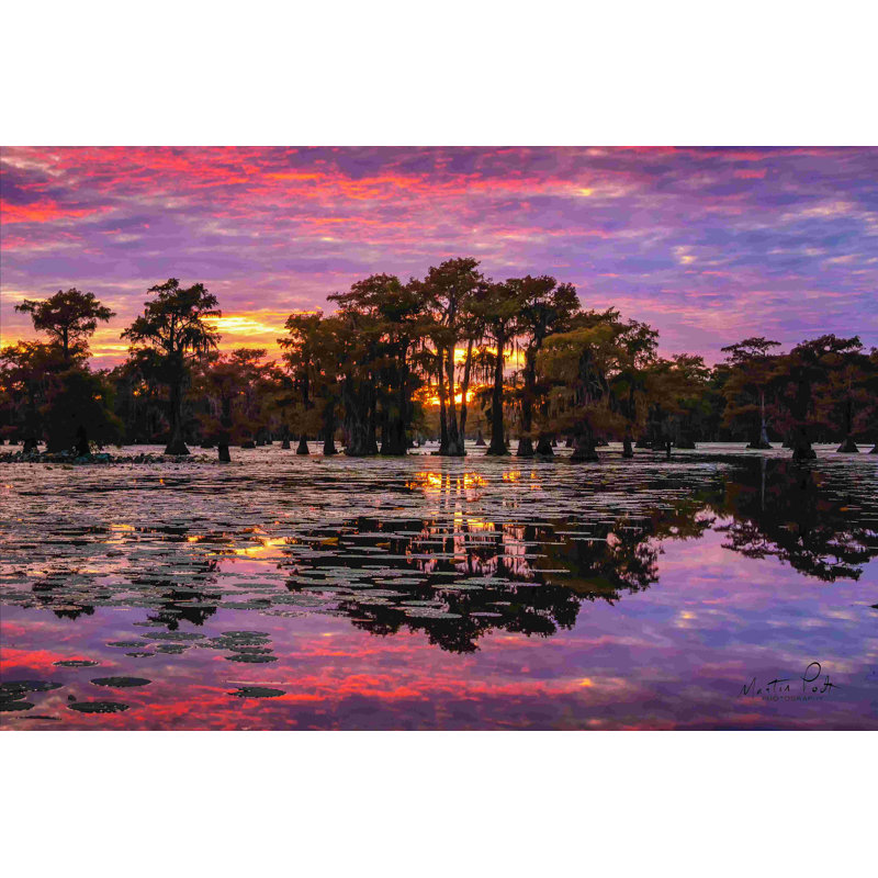 «Sundown in the Swamps» par Martin Podt - reproduction, H 8 po x l 12 po, Non, Toile tendue