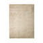 Houkime Tencel Striped Area Rug in Beige