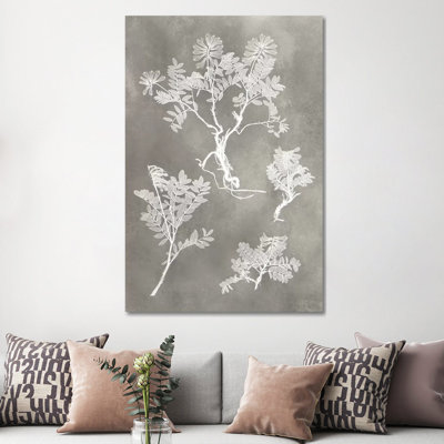 Herbarium Study II by Vision Studio - Wrapped Canvas Print