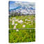 Alvord Mount Rainier Meadow-108662803