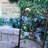 Watkinsville 2 - Person Patio Dining Set with Round Table