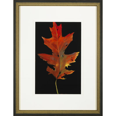 Colors Of Autumn II Print