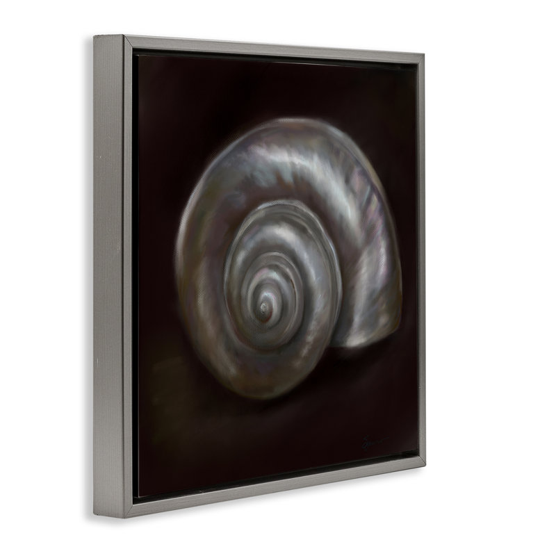 Cadre en spirale trésor de mer flottant, design par Mary Sparrow, Cadre flottant gris lustré, H 18 po x l 18 po