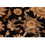 Wool Oriental Rug