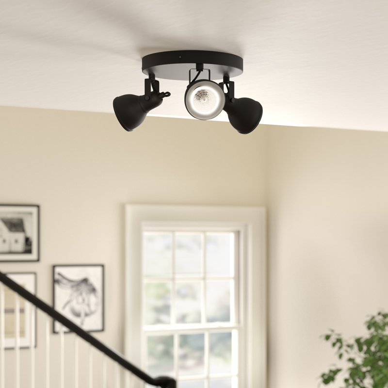 Colesville Spotlight, Black