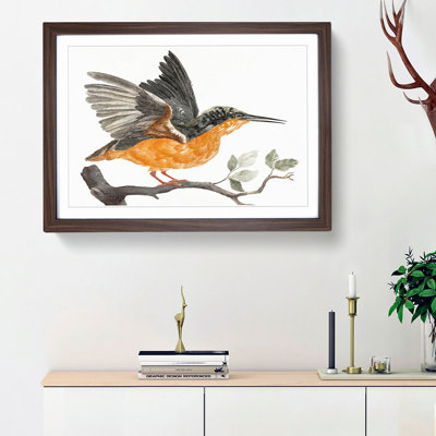 Kingfisher by Johan Teyler - Picture Frame Graphic Art Print