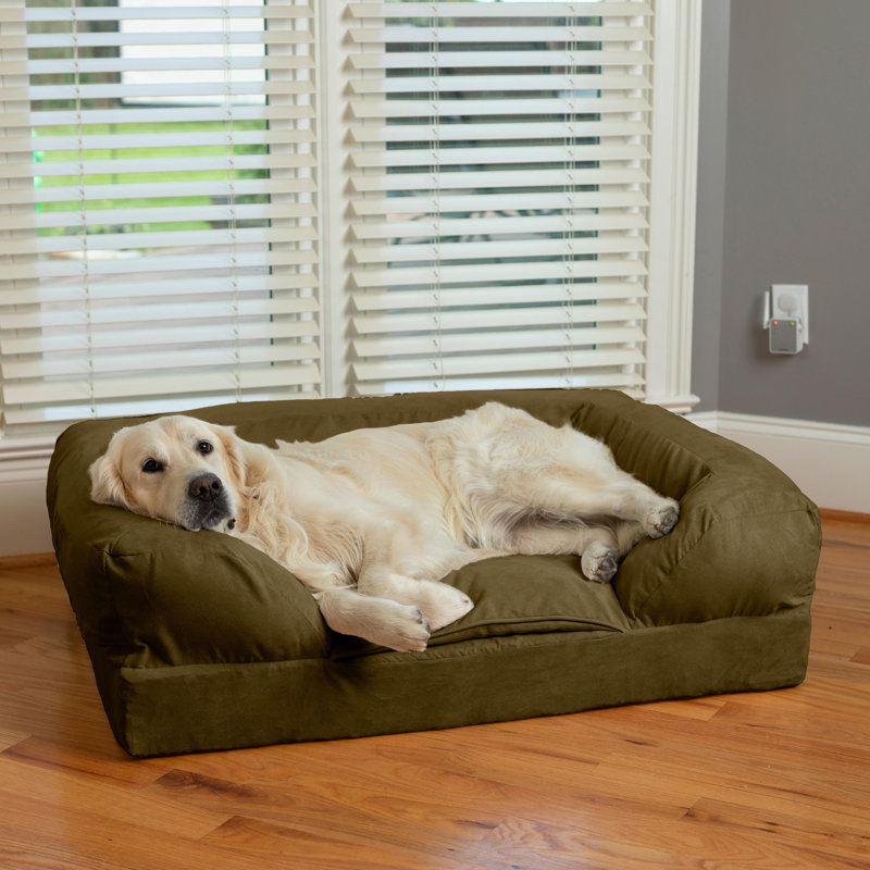 Canapé pour chien 100% lavable par Snoozer, Très grand (l 54 po x P 36 po), Olive / Café