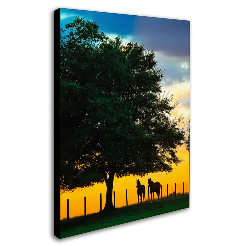 Sunset Horse Photographic Print on Wrapped Canvas