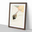 Pheasant Couple by Ohara Koson - Picture Frame Painting Print-55732058-55732059