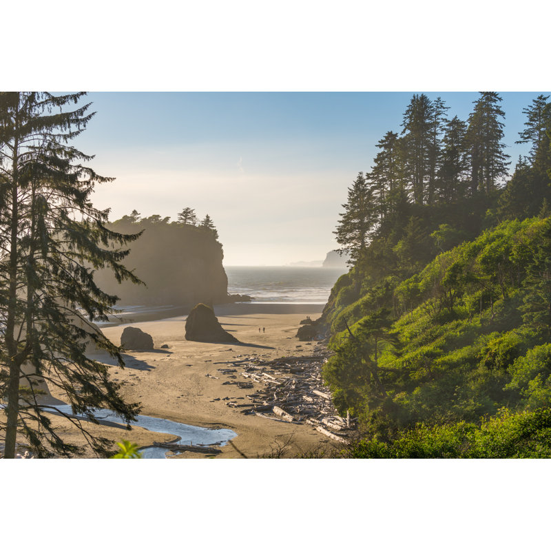 " Ruby Beach " by Sean Pavone, 12" W x 8" H