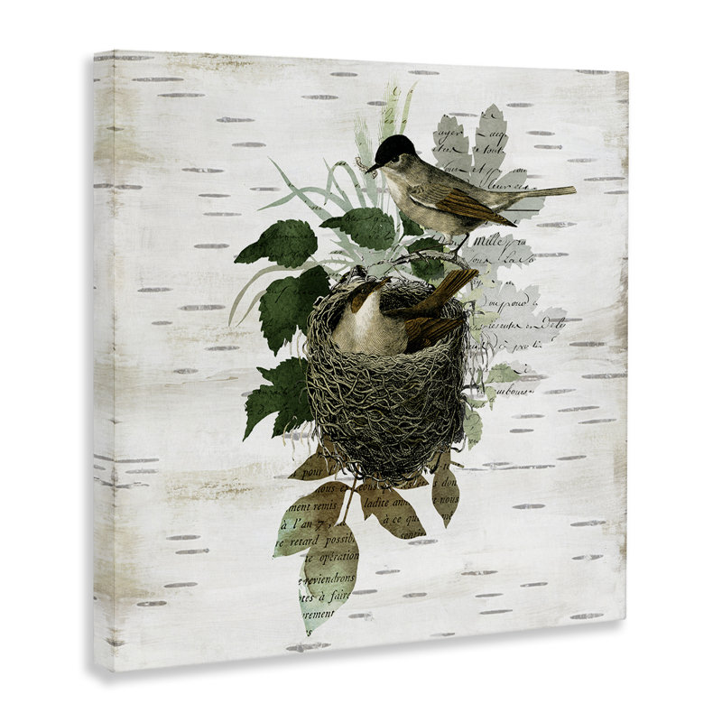 Oiseaux dans une toile de nid rétro, design par Susan Arnot, H 30 po x l 30 po