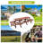 Nearly 8-Foot Brown Picnic Table With Benches - Ideal For 14-16 Persons In Patio, Garden & Backyard