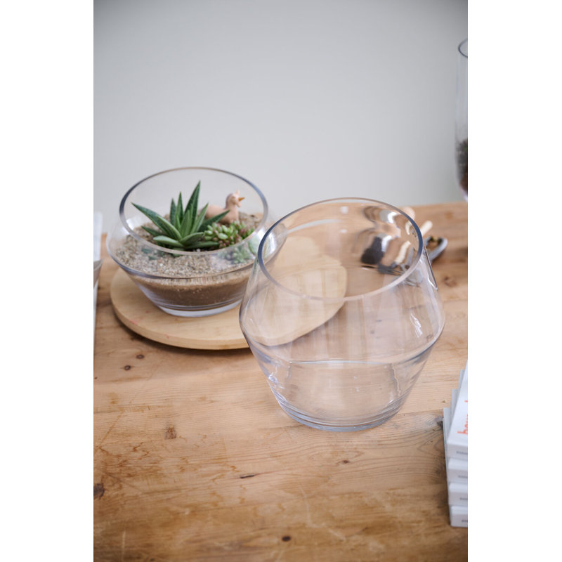 Hadria Terrarium dynamique, H 6 po x l 9,25 po x P 9,25 po