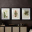 Elegant Tropicals III - Impression sur mesure encadrée de qualité supérieure - 3 pièces-1308953840-1308953838