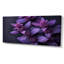 Girouge - Eucalyptus, art mural-106120978-134408439