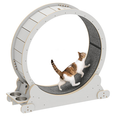 Phillipp Scratching Post