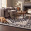Tapis Juniper2 traditionnel persan audacieux, gris ivoire et beige, lavable à la machine, antidérapant, à poils courts, pour l'intérieur et l'extérieur, adapté aux animaux domestiques, idéal pour le salon, la chambre, la salle à manger, l'entrée, le couloir ou le bureau.-1110062333