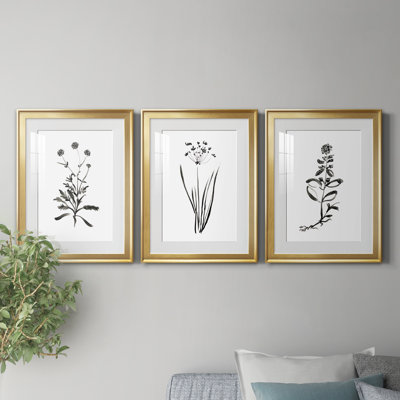 Inky Botanical I - Ink Botanicals Wall Art, Matted and Framed Under Acrylic Glass, Set of 3, Living Room and Dining Room Wall Art