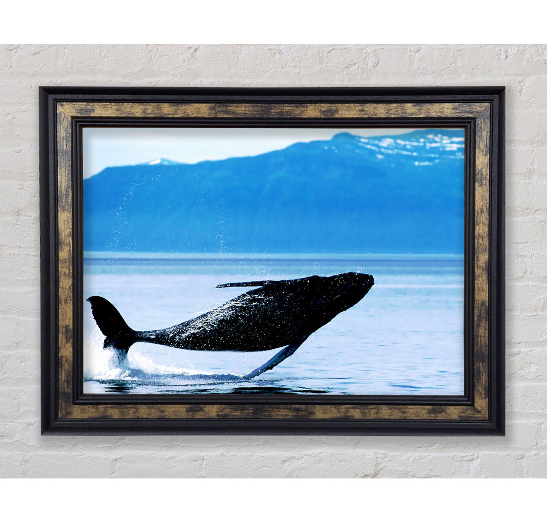 Whale Of A Time - Einzelner Bilderrahmen Kunstdrucke