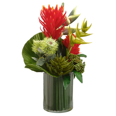 24,5H17W17 L L Protea / Bromelia (P