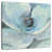 Harnek Moonlight Magnolia I