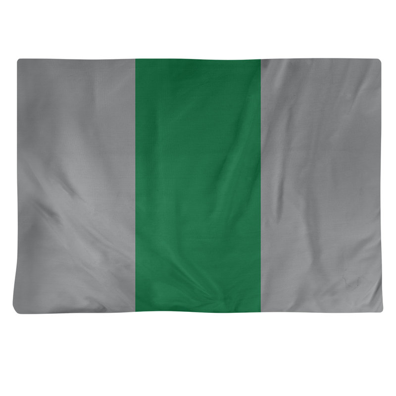 Récapitulatif en coton 18" retour football Philadelphia, Argent / bleu sarcelle