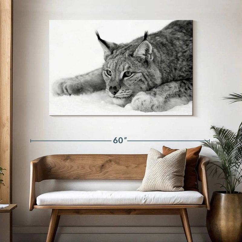 Brampt Lynx BW, 32" H x 48" W