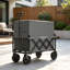 Expandable Dual-Layer Utility Wagon-125205166