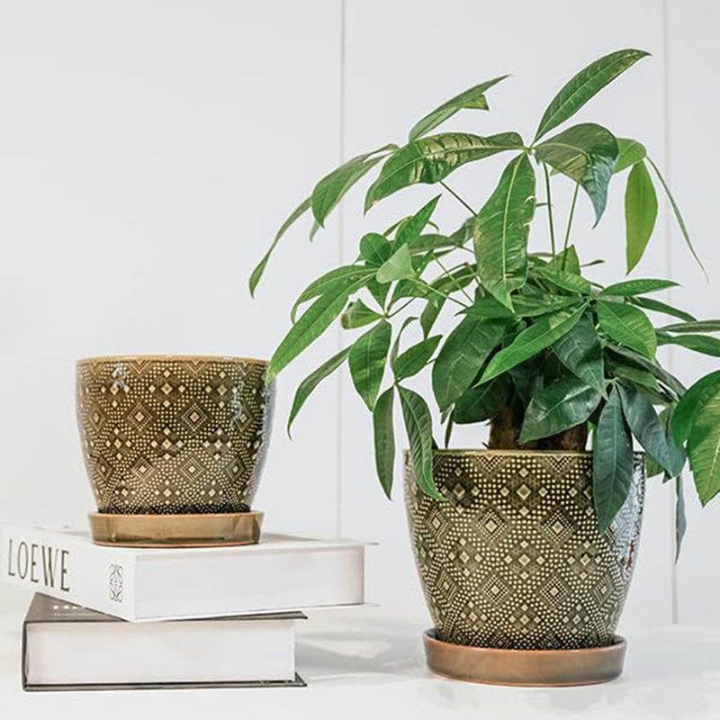 2 Piece Ceramic Plant Pot with Drainage Holes and Saucers, Dark Green