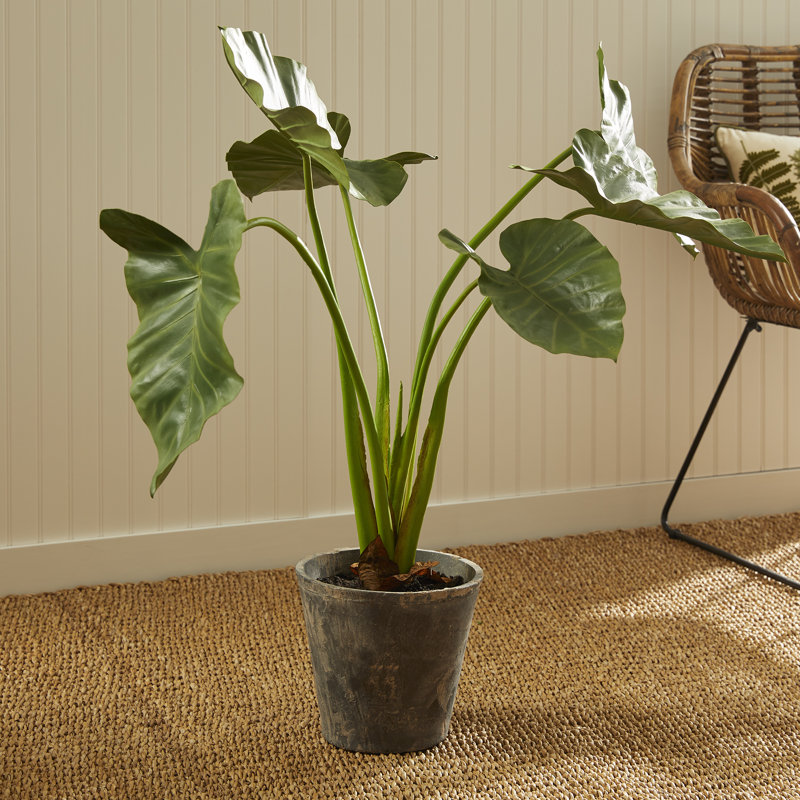 Faux Elephant Ear Plant in Ceramic Pot