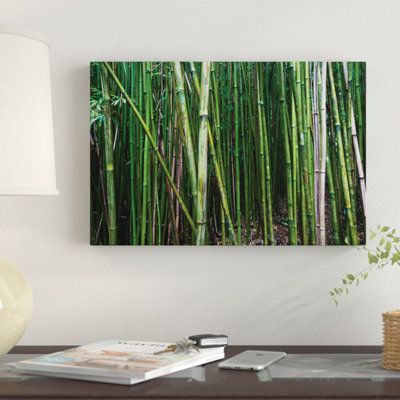 'Bamboo Trees, Maui, Hawaii, USA I' Photographic Print on Canvas